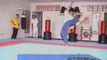 Martial arts - Capoeira - Kung fu vs taekwondo