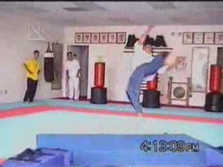 Martial arts - Capoeira - Kung fu vs taekwondo