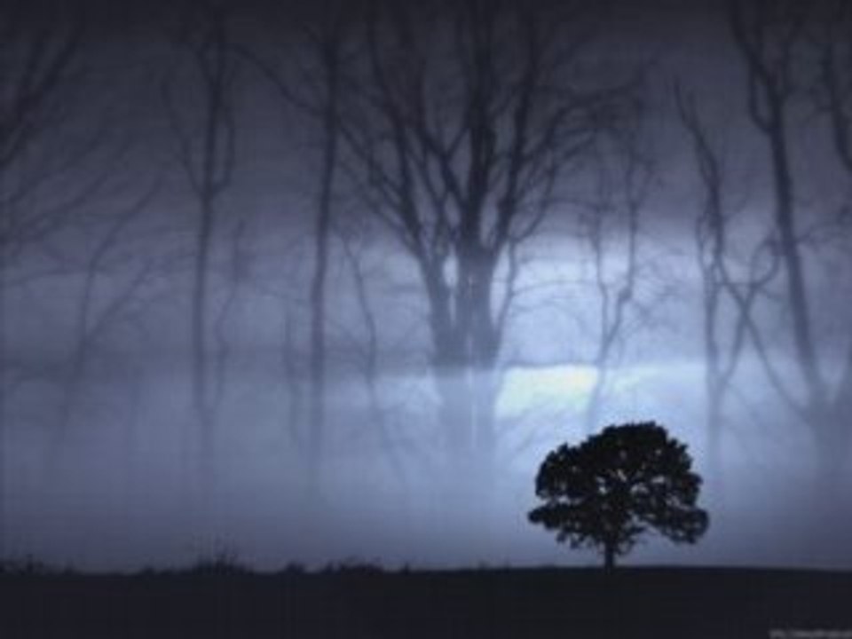 Dornenreich - Der Hexe nächtlich' Ritt