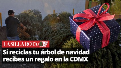 En la CDMX si reciclas tu árbol de navidad recibes un regalo