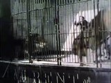 Danse Serpentine (In a Lion's Cage) | movie | 1900 | Official Clip