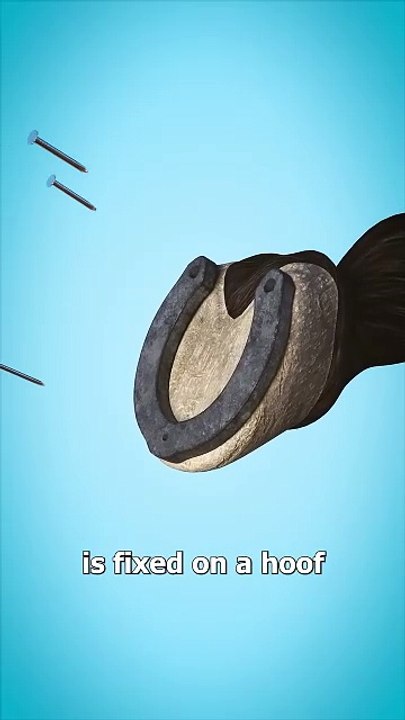 Why Horseshoes Don’t Hurt Horses 🐴 #science #sciencefacts #facts #fypシ #fypviralシ #fy #fypシviralシ2025 #fypシ゚viralシ2024fyp #fypシ゚viralシfypシ゚