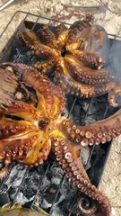 Sweet and Sour Squid Recipe | Cooking in the Wild