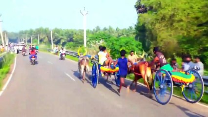 நம்ம ஊரு ஆடானை