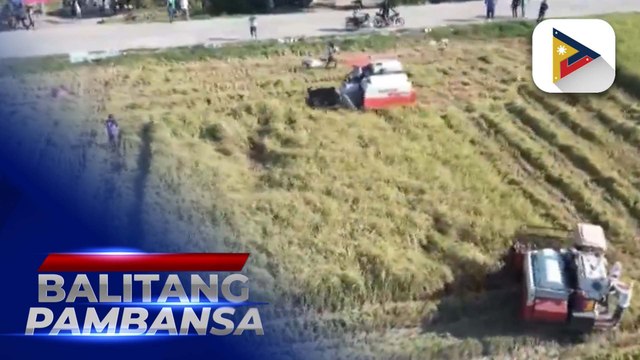 NIA, palalakasin pa ang produksyon ng bigas ngayong taon