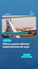 Clima y precio afectan exportaciones de soya