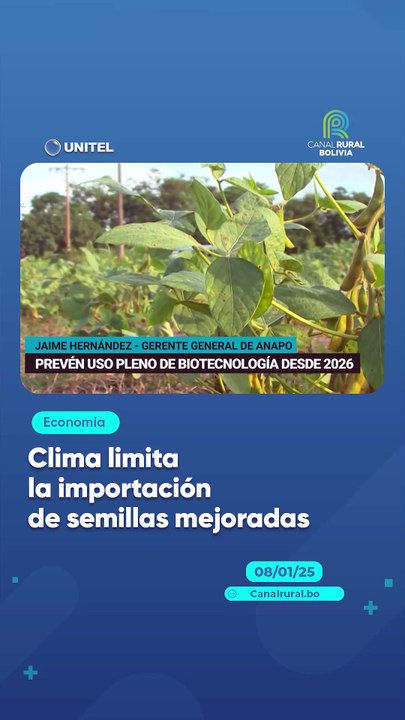 Clima limita la importación de semillas mejoradas