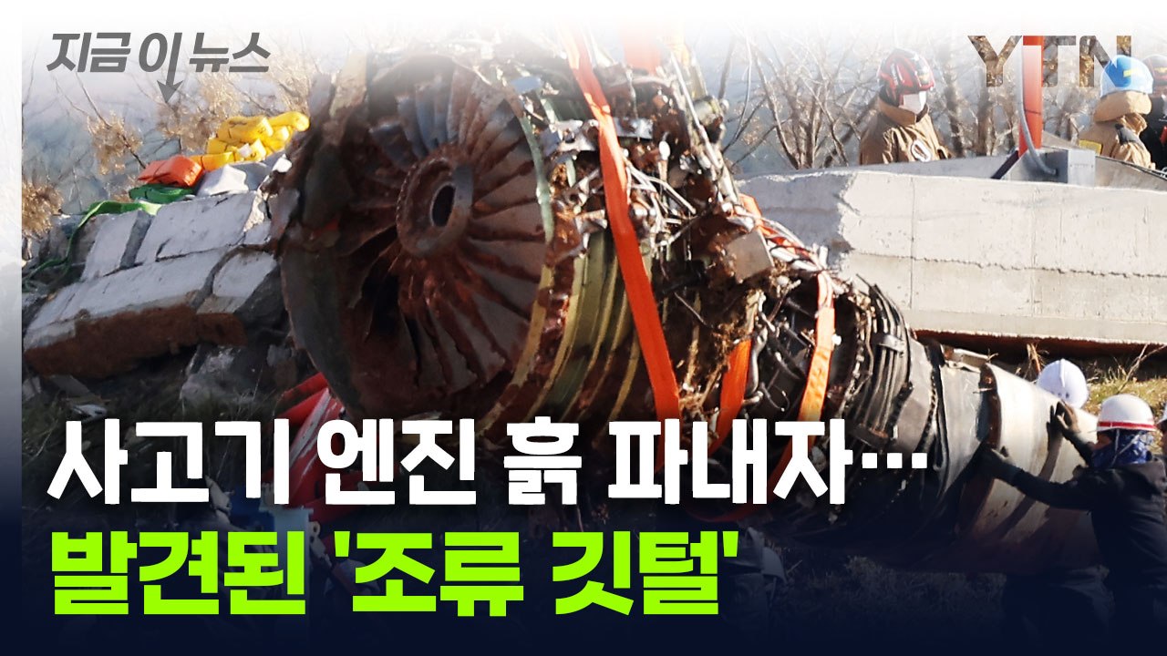 '조류 충돌' 인정한 국토부..."엔진서 깃털 발견, 미국과 함께 분석할 것" [지금...