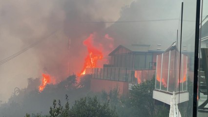 Pacific Palisades Wildfire Footage