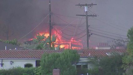 미국 LA 부촌 퍼시픽 팰리세이즈 산불...강풍에 급속 확산 / YTN