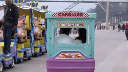 HN_ANI2_UP_VARANASI_COLD_WAVE_FOG_ENGULFS_THE_CITY_07-55-27