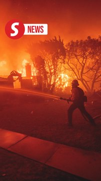 Wildfire rages through upscale Los Angeles area, forcing evacuations