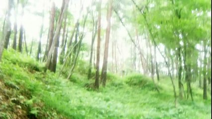 怨屋本鋪 第一季 第6話 怨み屋本舗 2006