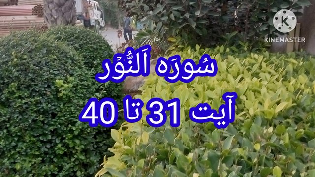 Surah An Nur | Surat ul Nur | quran pak ki tilawat | quran recitation | bubak learn quran
