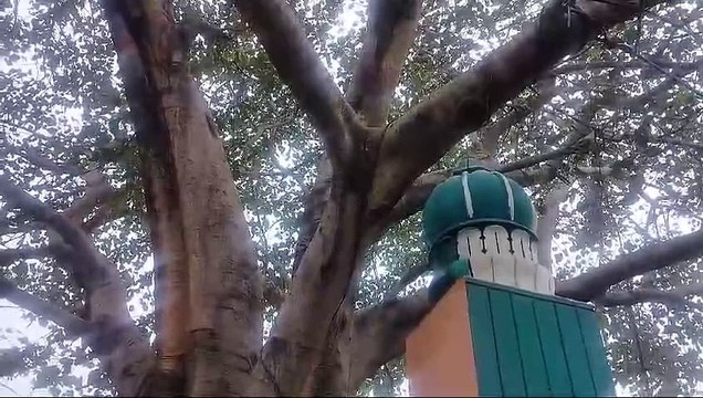 अब शिव मंदिर बनाम ईदगाह विवाद: शिव मंदिर की भूमि पर बना दिया ईदगाह स्थल, साजिश के तहत छुपाया शिव मंदिर, सपा सरकार में हुआ निर्माण