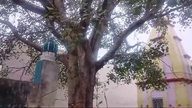 अब शिव मंदिर बनाम ईदगाह विवाद: शिव मंदिर की भूमि पर बना दिया ईदगाह स्थल, साजिश के तहत छुपाया शिव मंदिर, सपा सरकार में हुआ निर्माण