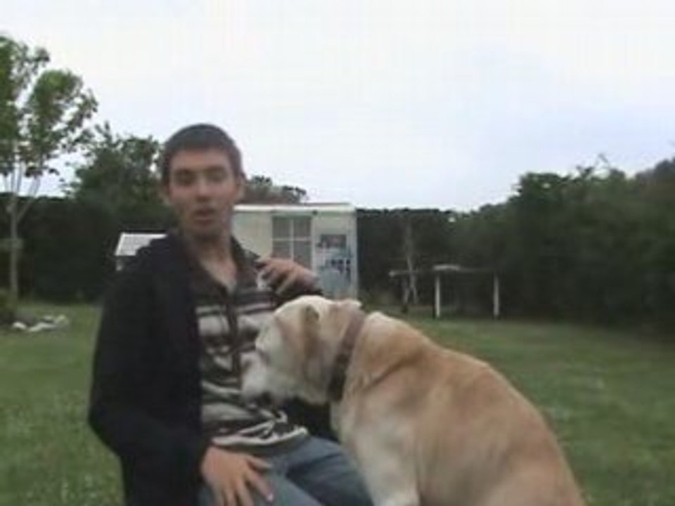 pub croquettes energy