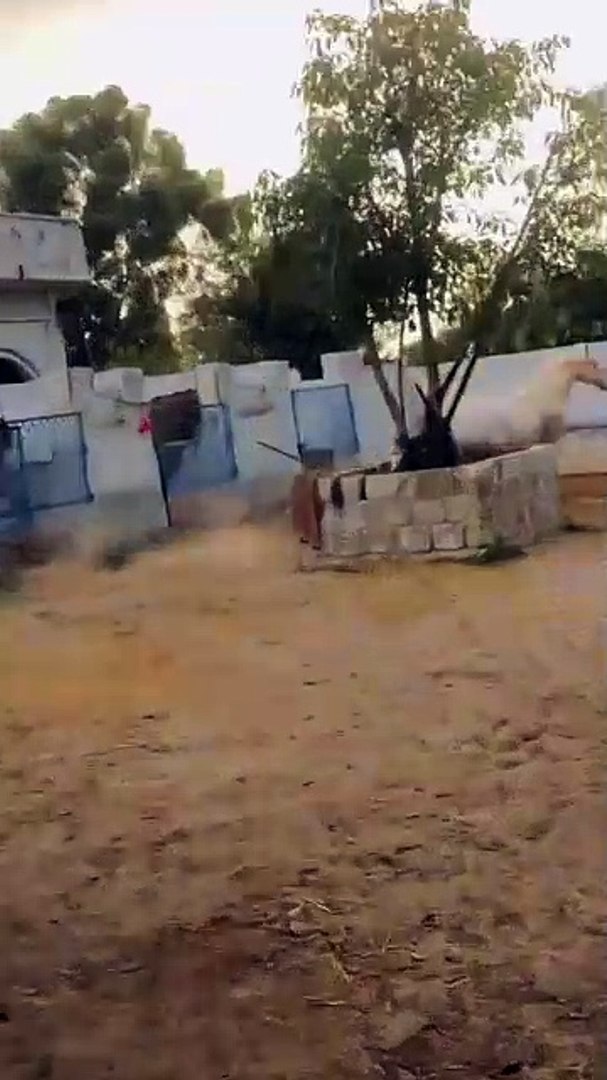 Horse🐎🐎 lover's