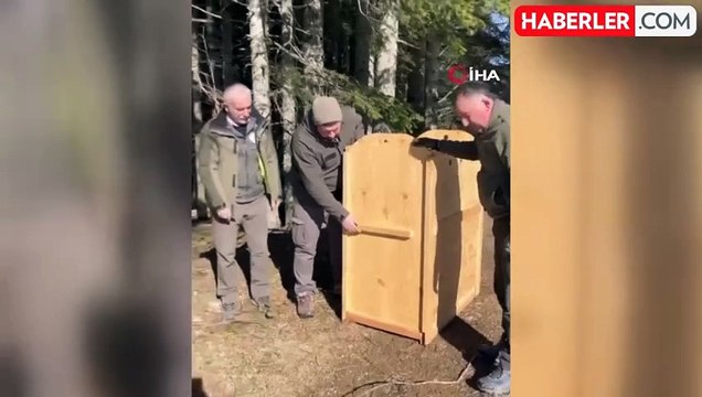 Yırtıcı Hayvan Saldırısından Yaralanan Karaca Doğaya Salındı