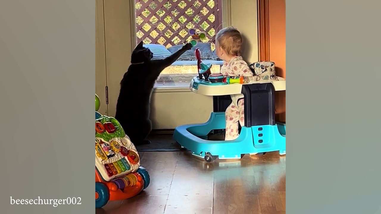 When your cat becomes a precious friend 👶❤️🐱Cute Cats and Human