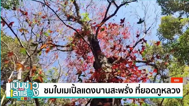 “บ้านบอ สตูดิโอ” แกลอรี่แห่งแรกของบ้านโป่ง | เป็นข่าวเล่าเรื่อง | 8 ม.ค. 68 | PART 2