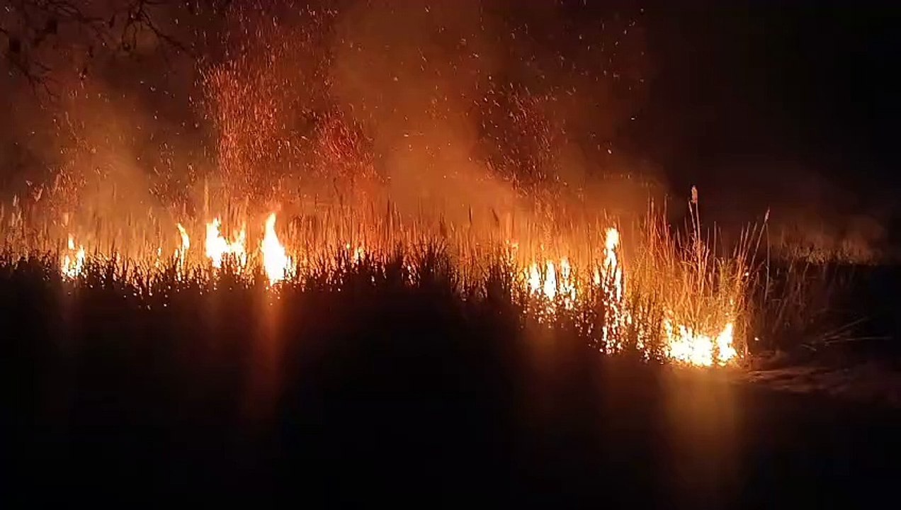 ವಿದ್ಯುತ್ ತಂತಿ ತಗುಲಿ ಕಬ್ಬು ಬೆಳೆ ಭಸ್ಮ‌,ರೈತ ಕಂಗಾಲು