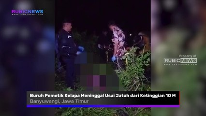 Usai Jatuh Dari Pohon Kelapa Setinggi 10 Meter, Buruh Pemetik Kelapa Ditemukan Meninggal Dunia Seperti Ini Kondisi Jasad Korban