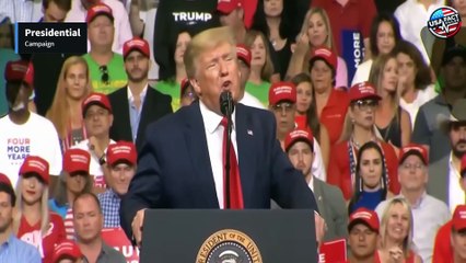 The 'Ice Maiden' Leading Trump’s White House | Susie Wiles’ Strategy