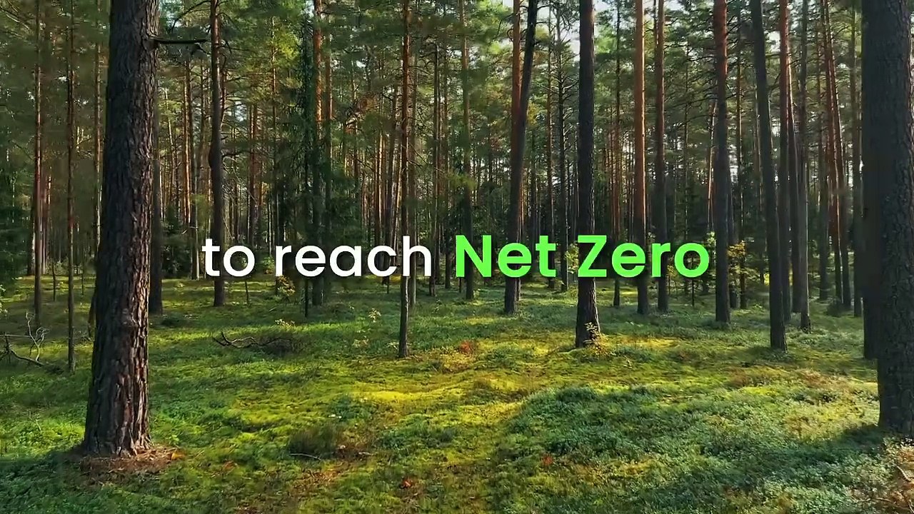 Servotech Power Systems Rebrands as Servotech Renewable Power System