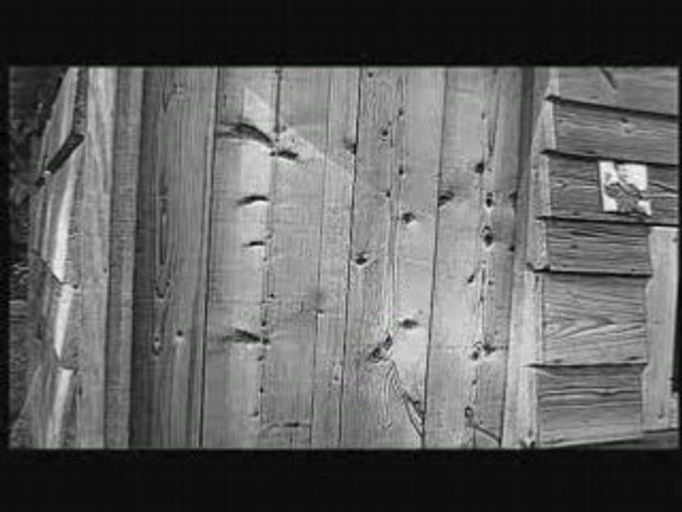 Bande Annonce 50.avi