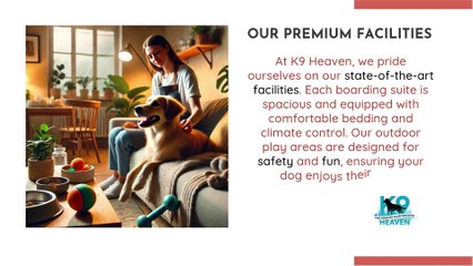 Kennels North Shore - Premium Dog Boarding Services At K9 Heaven