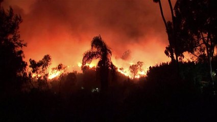 Watch: Pacific Palisades wildfires rage through Los Angeles neighbourhood destroying homes