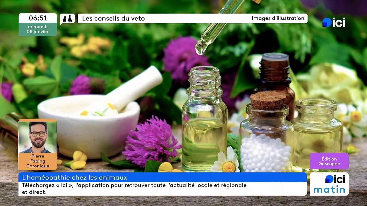 08/01/2025 - ici matin par ici Gascogne en vidéo