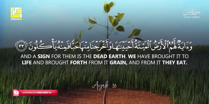 Most beautiful recitation of Surah Yaseen (Yasin) سورة يس ⋮ Zikrullah TV