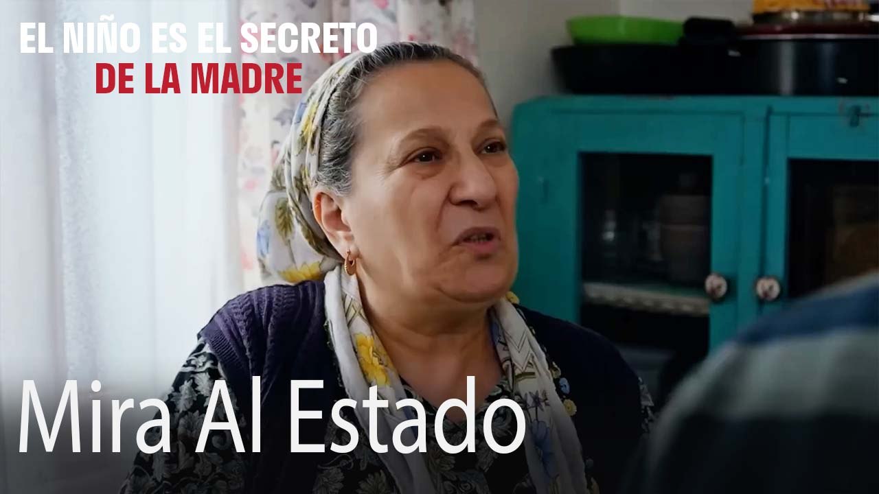 Mira Al Estado