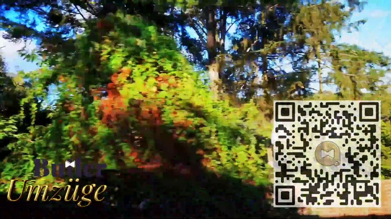 #ButlerUmzügeGmbH 🚍 moving services in Berlin for a stress-free relocation