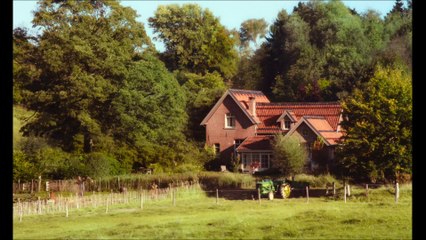 Funny Birds - Das Gelbe vom Ei Trailer DF