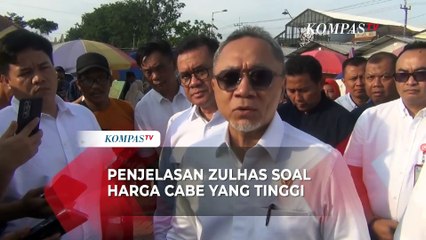 Menko Pangan Zuhlhas: Dua Minggu Lagi Harga Cabai Turun