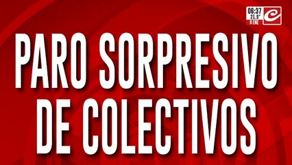 Sorpresivo paro de colectivos: ¿cuáles son las líneas que no funcionan?
