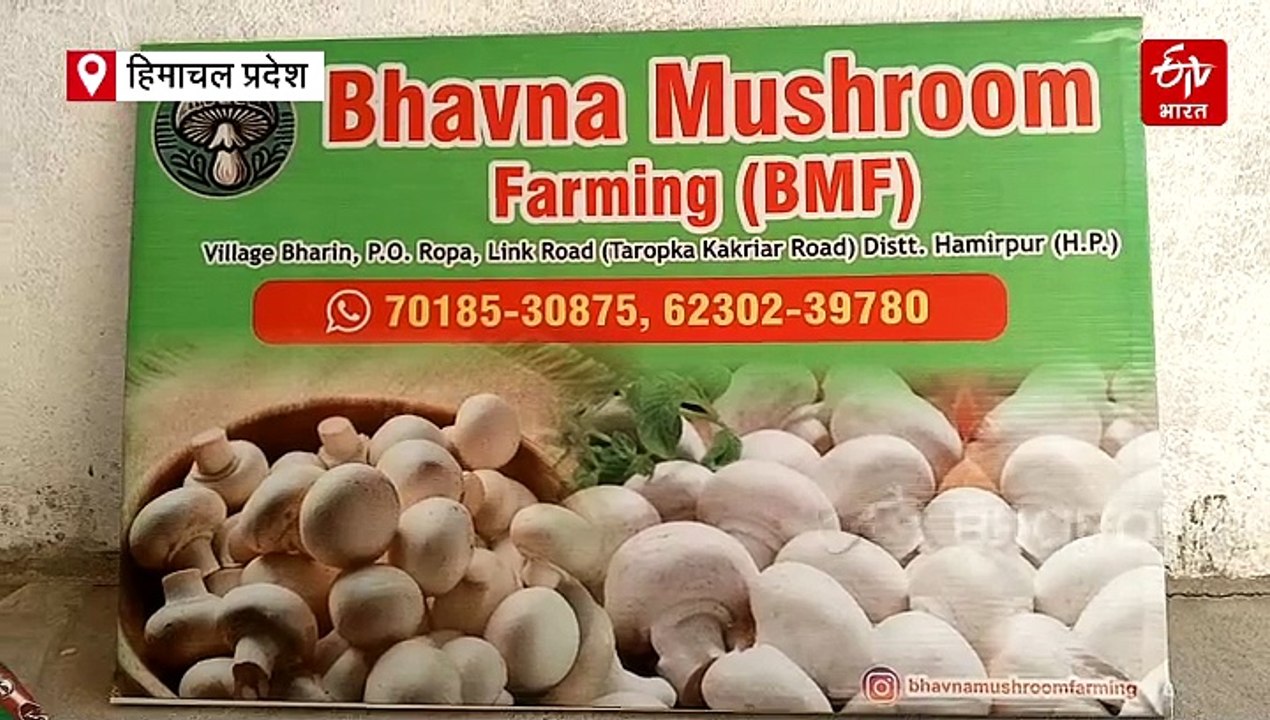 हिमाचल की युवती ने छोटे से कमरे से शुरू किया बिजनेस, 5 साल में लाखों में पहुंचा टर्नओवर