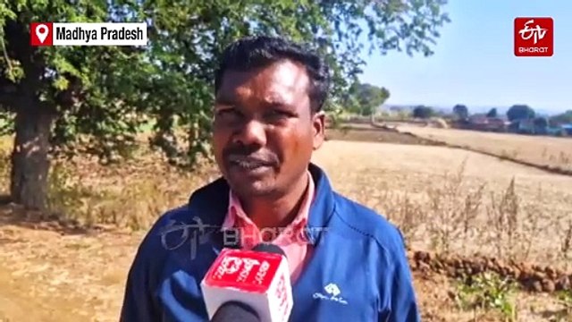 Tribal Farmers In Madhya Pradesh's Dindori Demand MSP For Coarse Grains Ahead Of Union Budget