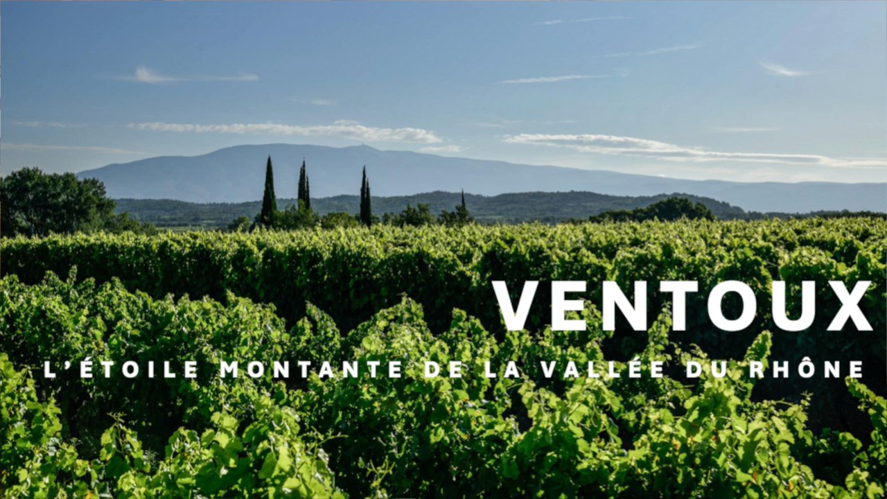 Masterclass de La RVF sur les vins du Ventoux