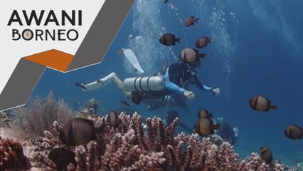 Percepat siasatan penemuan objek disyaki bom di Pulau Sibuan