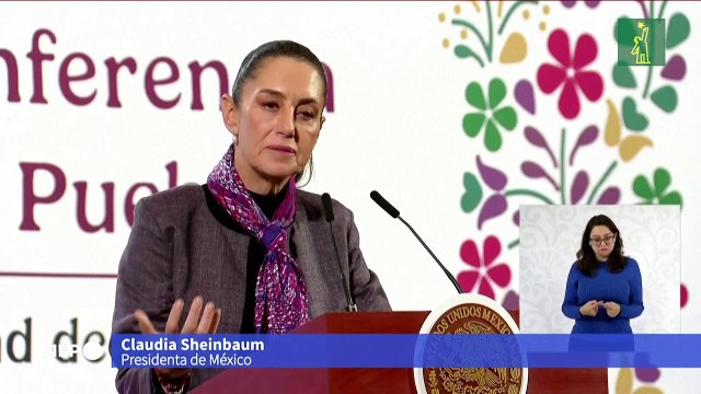 Presidenta Sheinbaum dice que no hay evidencias de que se produzca fentanilo en México