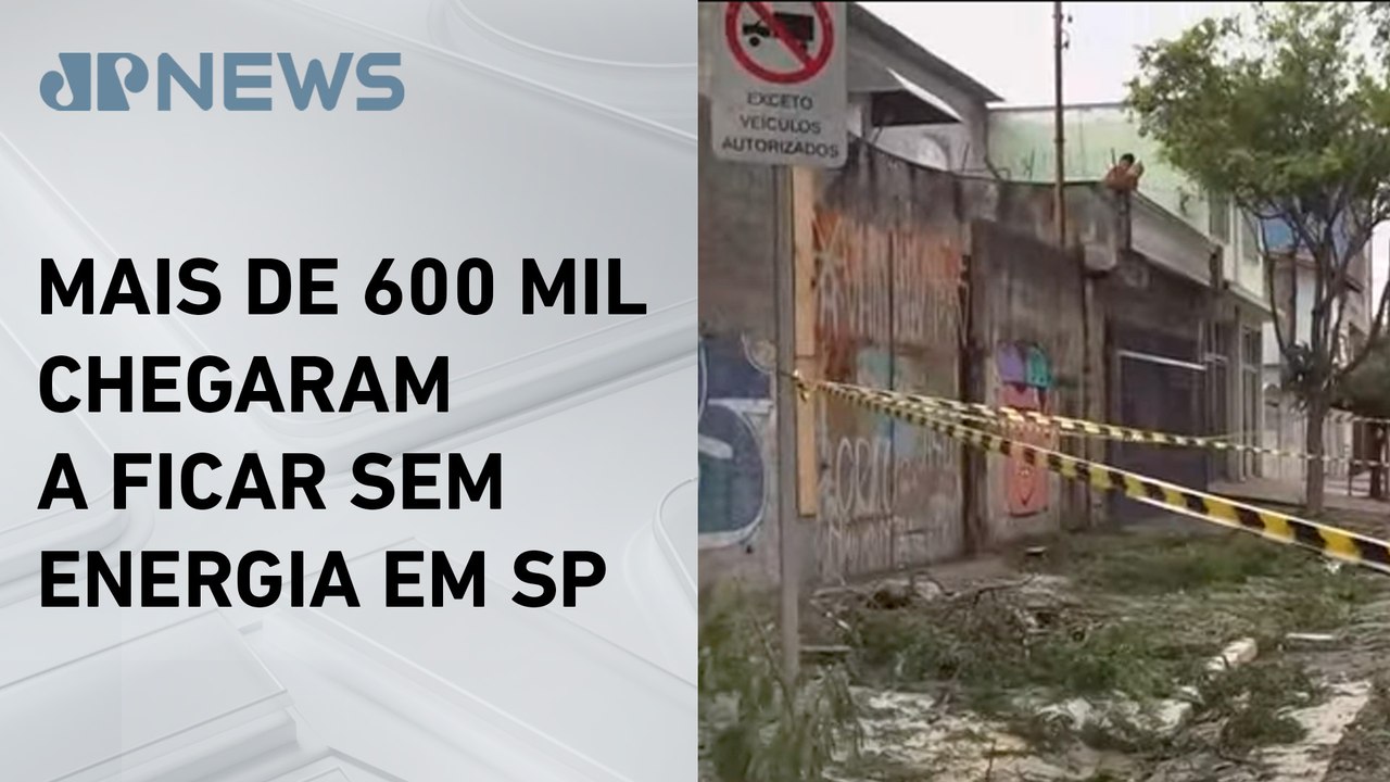 Temporal com ventania e graniza provoca queda de árvores em São Paulo