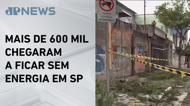 Temporal com ventania e graniza provoca queda de árvores em São Paulo
