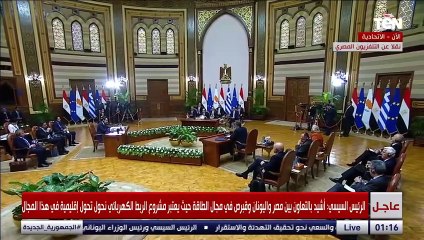 السيسي: نتطلع بالتعاون مع قبرص لنقل الغاز إلى محطات التسييل المصرية لإعادة تصديره للأسواق الأوروبية