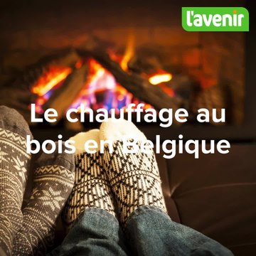 Chiffres du chauffage au bois en Belgique 2025