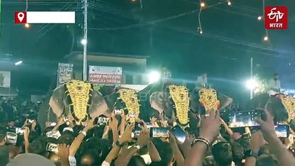 धार्मिक आयोजन में बेकाबू हुआ हाथी, व्यक्ति को सूंड से पकड़कर घुमाया और फिर...