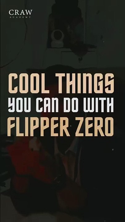 Cool Things You Can Do with Flipper Zero
